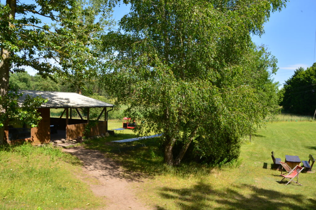 Wakacje na Strusiej Farmie w Kniewie